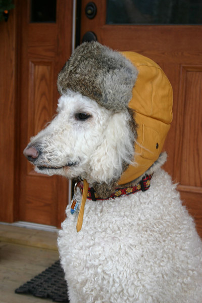 sandy_in_winter_dress