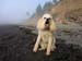 sandy_halls_harbour2