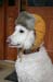 sandy_in_winter_dress